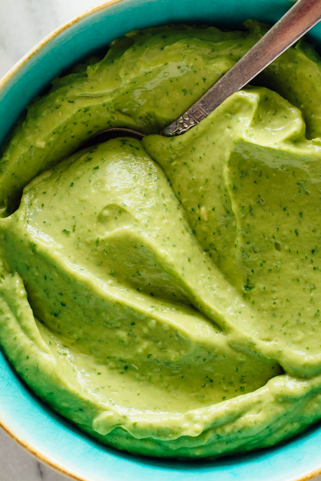 creamy avocado dip