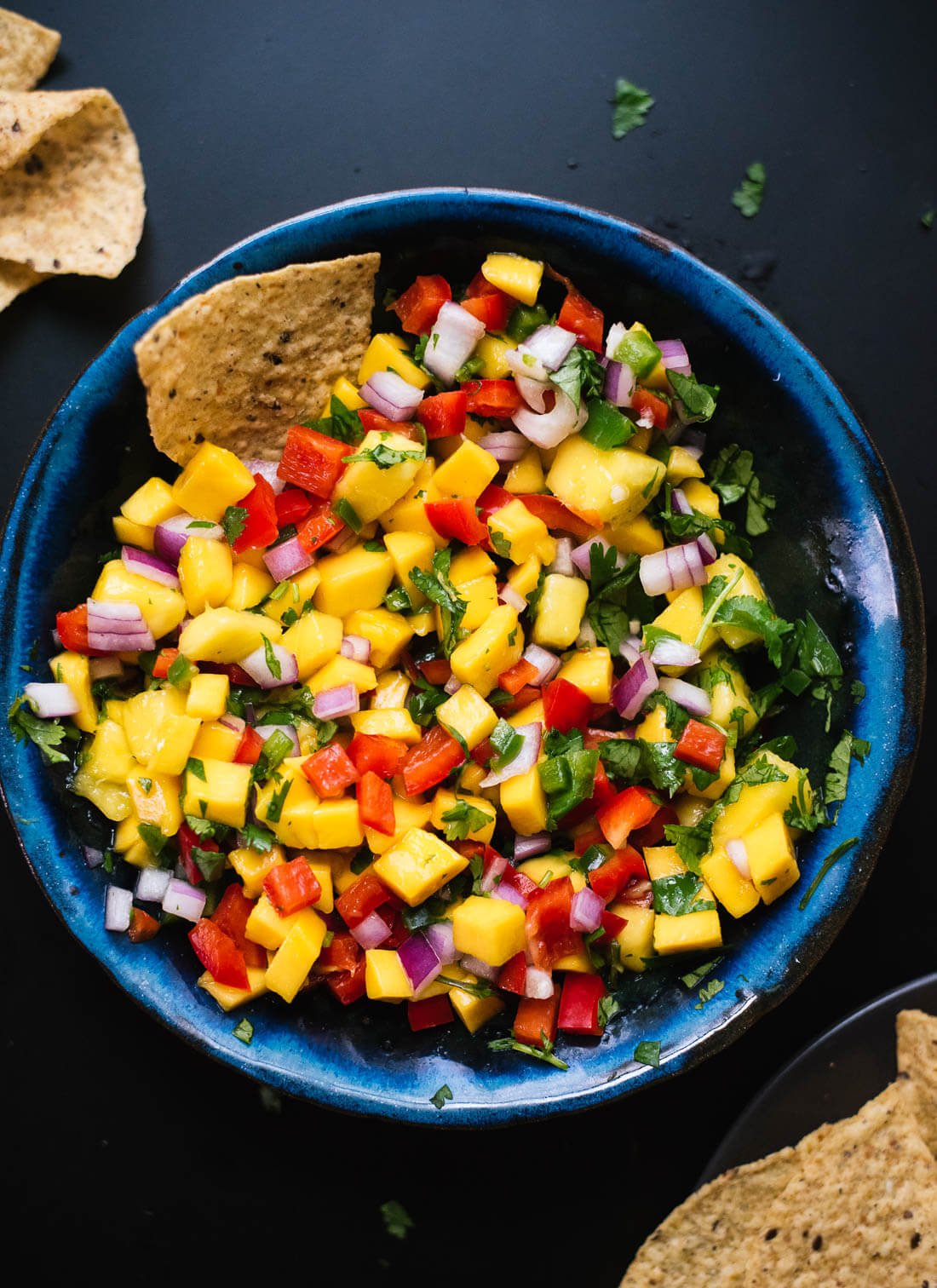 Super fresh and colorful mango salsa! cookieandkate.com